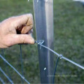 Hight Quality Goat Farming/Field Fence for Sheep and Cattle